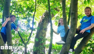 Barrow Badgers members Arthur, Millie and Lilliana smiling after they have climbed a tree. They are wearing blue T-shirts.