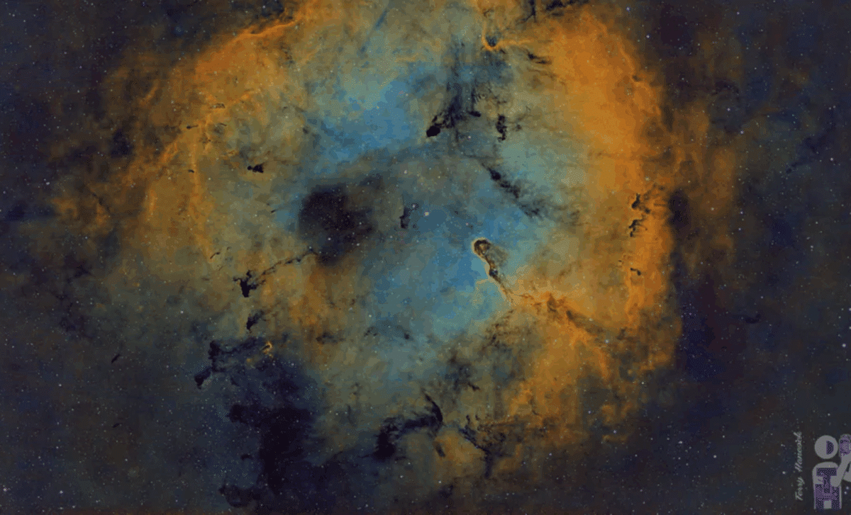 Astrophotographer Reveals Stunning Image Of The Elephant Trunk Nebula In Dazzling Detail