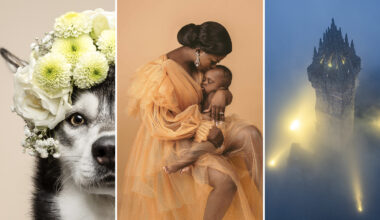 A collage with three images: a husky wearing a flower crown, a woman in an orange dress holding a baby against a peach background, and a tall, foggy tower illuminated by lights at night.
