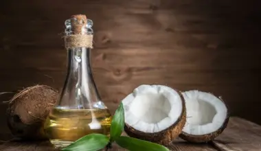 United Kingdom's Crude Coconut Oil Market To See Modest Growth With a +0.6% CAGR Through 2035 - News and Statistics