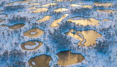Expertly photographed with the DJI Mavic 3 Pro, this landscape of frozen peat pools looks like an ethereal, alien world