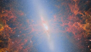 an image of the cigar galaxy