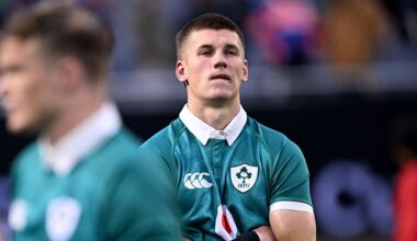 Ireland player ratings vs New Zealand