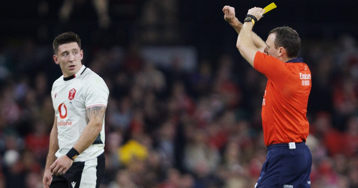 Wales to face All Blacks and Springboks without Josh Adams after ban