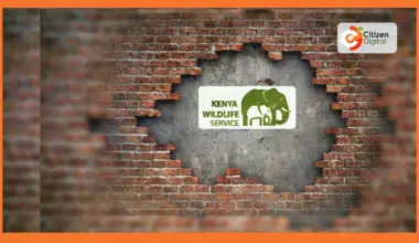 KWS and eCitizen address concerns over new KWSPay payment system