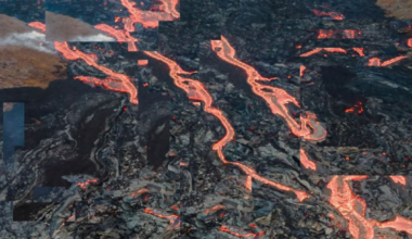 There might be something fundamentally wrong with many AI systems, scientists say