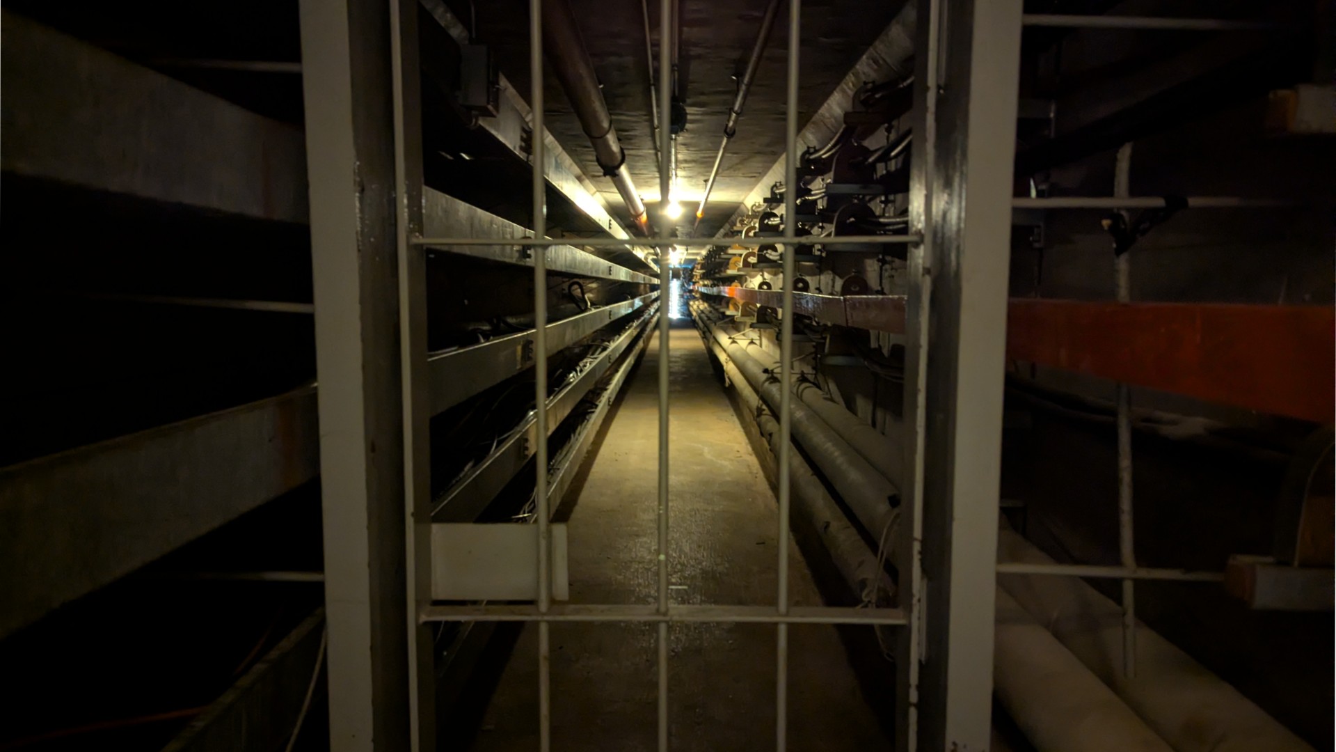 a dimly-lit dark tunnel stretches into the distance behind metal bars