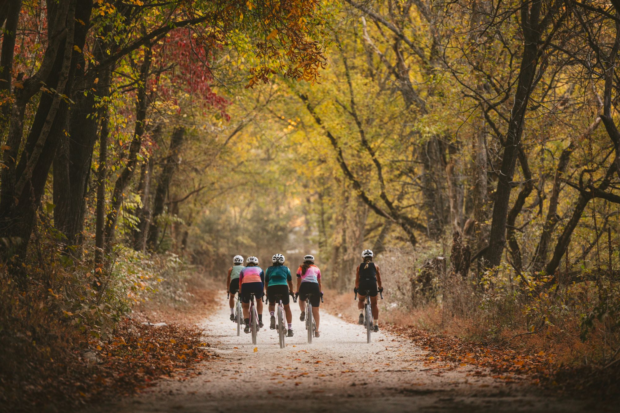 Scenes from Bentonville