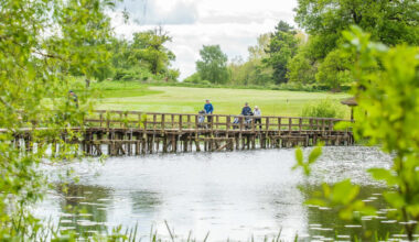Closed golf course could reopen after five years