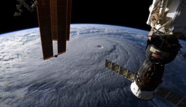 Scientists ‘astonished’ as moss survives nine months in space