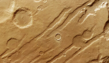 The patterns of Coloe Fossae: What a martian ice age left behind