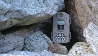 This Man Left A Camera In A Cave For 10 Years – He Never Expected What It Would Capture