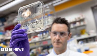A purple gloved hand holds a clear plastic box (containing bacteria) in the near ground while behind and out of focus you can see a male scientist wearing lab coat and thick protective glasses looking at what he's holding.