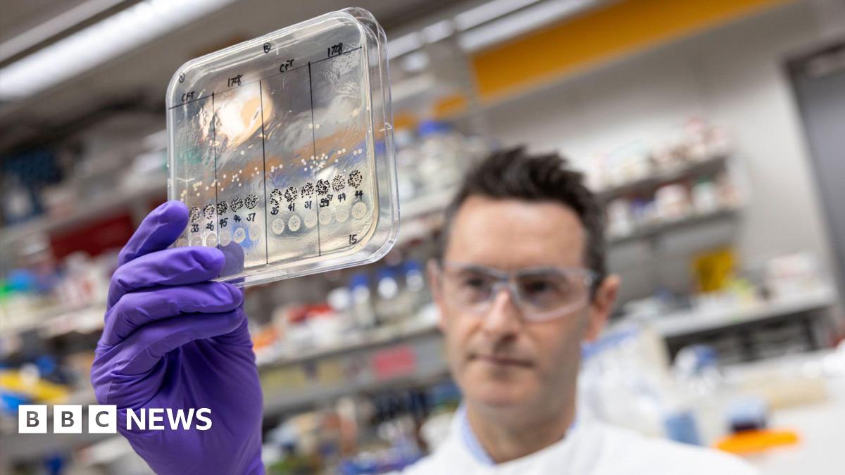 A purple gloved hand holds a clear plastic box (containing bacteria) in the near ground while behind and out of focus you can see a male scientist wearing lab coat and thick protective glasses looking at what he's holding.