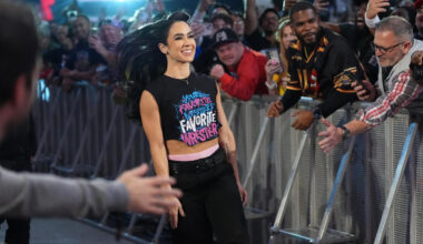 AJ Lee calls out fan AI video: This is inappropriate and harassment