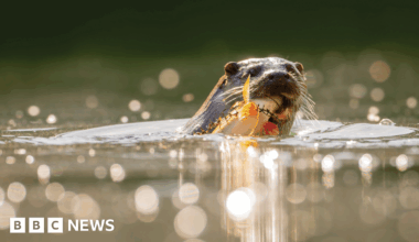 Family having a moment together messing about while winter sea swimming