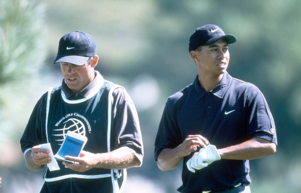 Williams believes an 'incredible' desire to win separated Woods from the rest of the sport