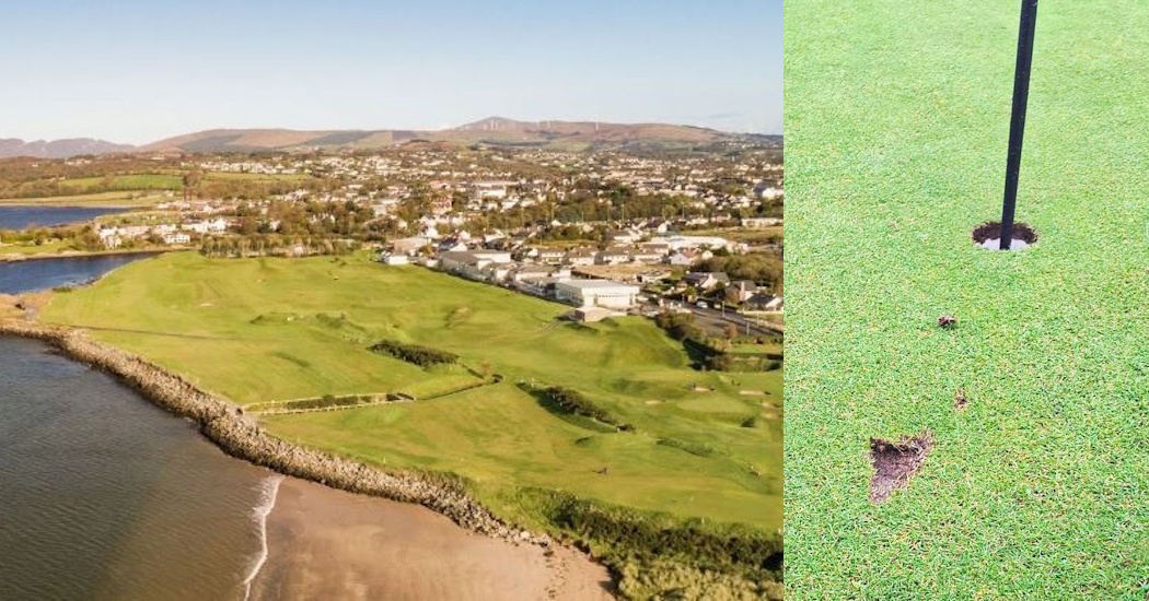 Buncrana Golf Club make appeal after green surface damaged