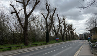 Cycling group among 500 objectors to Woolwich Common cycle lane