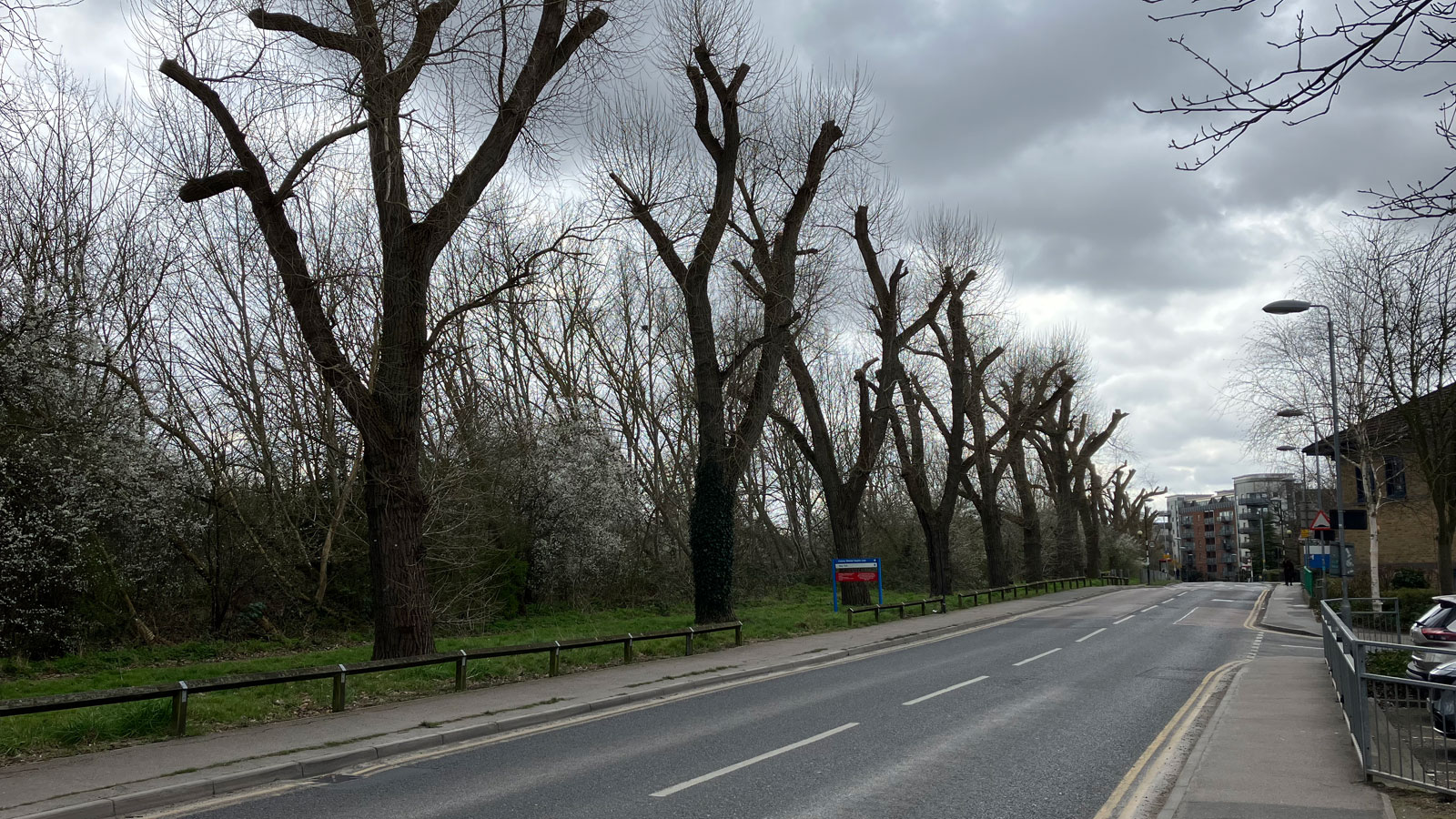 Cycling group among 500 objectors to Woolwich Common cycle lane