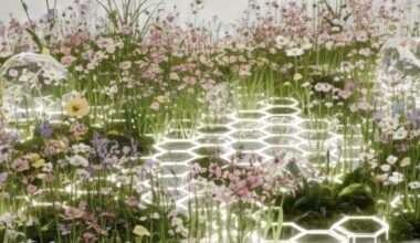 Three ways Google scientists use AI to better understand nature