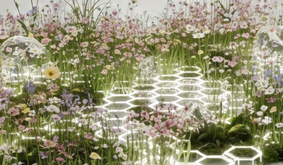 Three ways Google scientists use AI to better understand nature