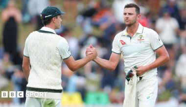 Pat Cummins and Josh Hazlewood