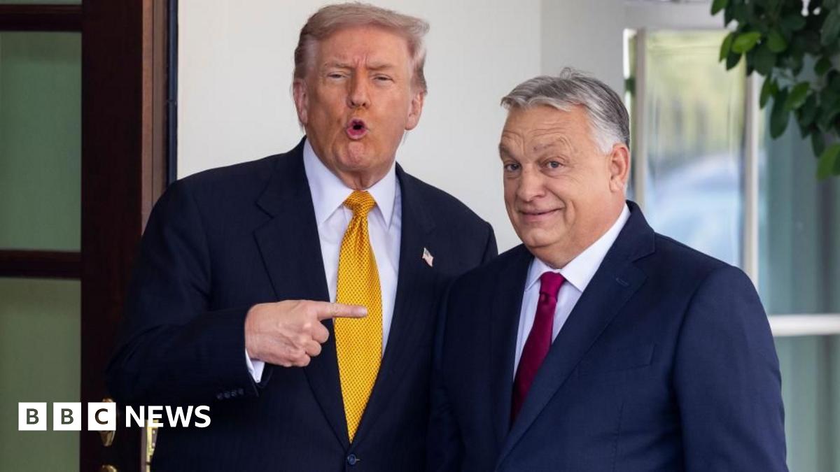 US President Donald Trump in a navy suit with a yellow tie stands and points to Hungary's Prime Minister Viktor Orban in a navy suit with red tie as they stand outside the White House