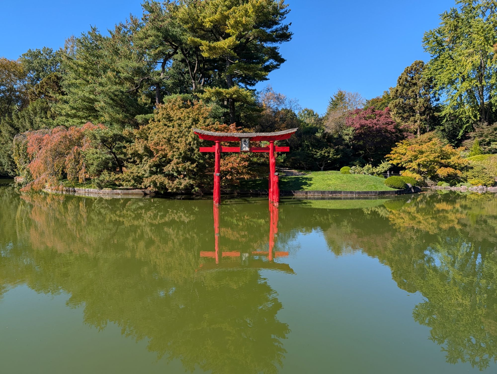 Google Pixel 10 Pro XL daytime sample.