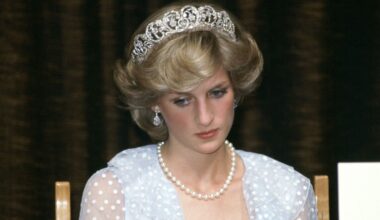 Prince Harry Said Princess Diana "Lost Her Life" Due to 1995 BBC Interview
