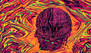 the danger of humans and machines hallucinating together