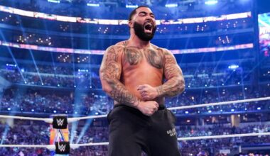 Former WWE wrestler Gable Steveson gets dominant victory in boxing debut