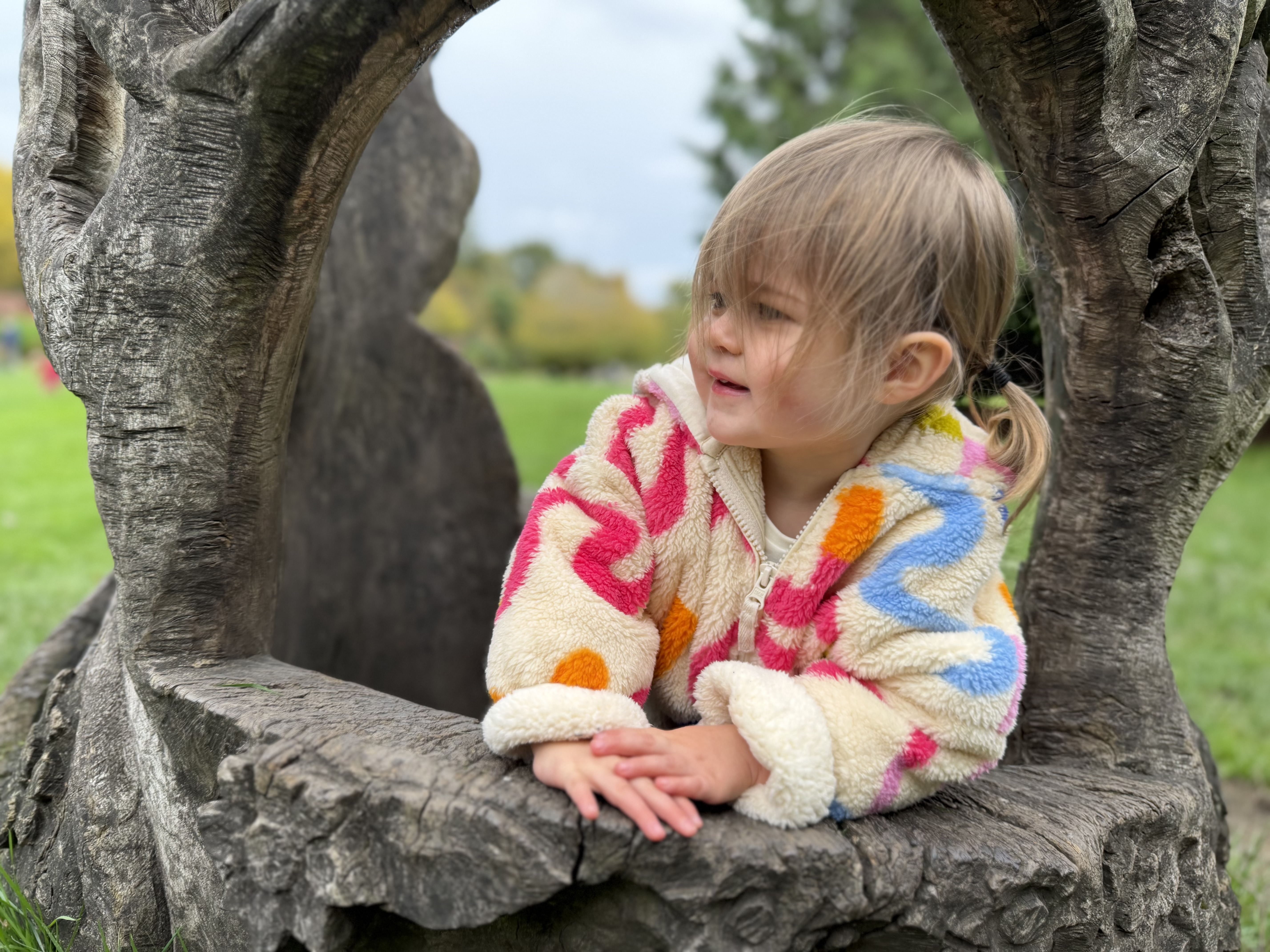 iPhone 17 Pro Portrait mode.