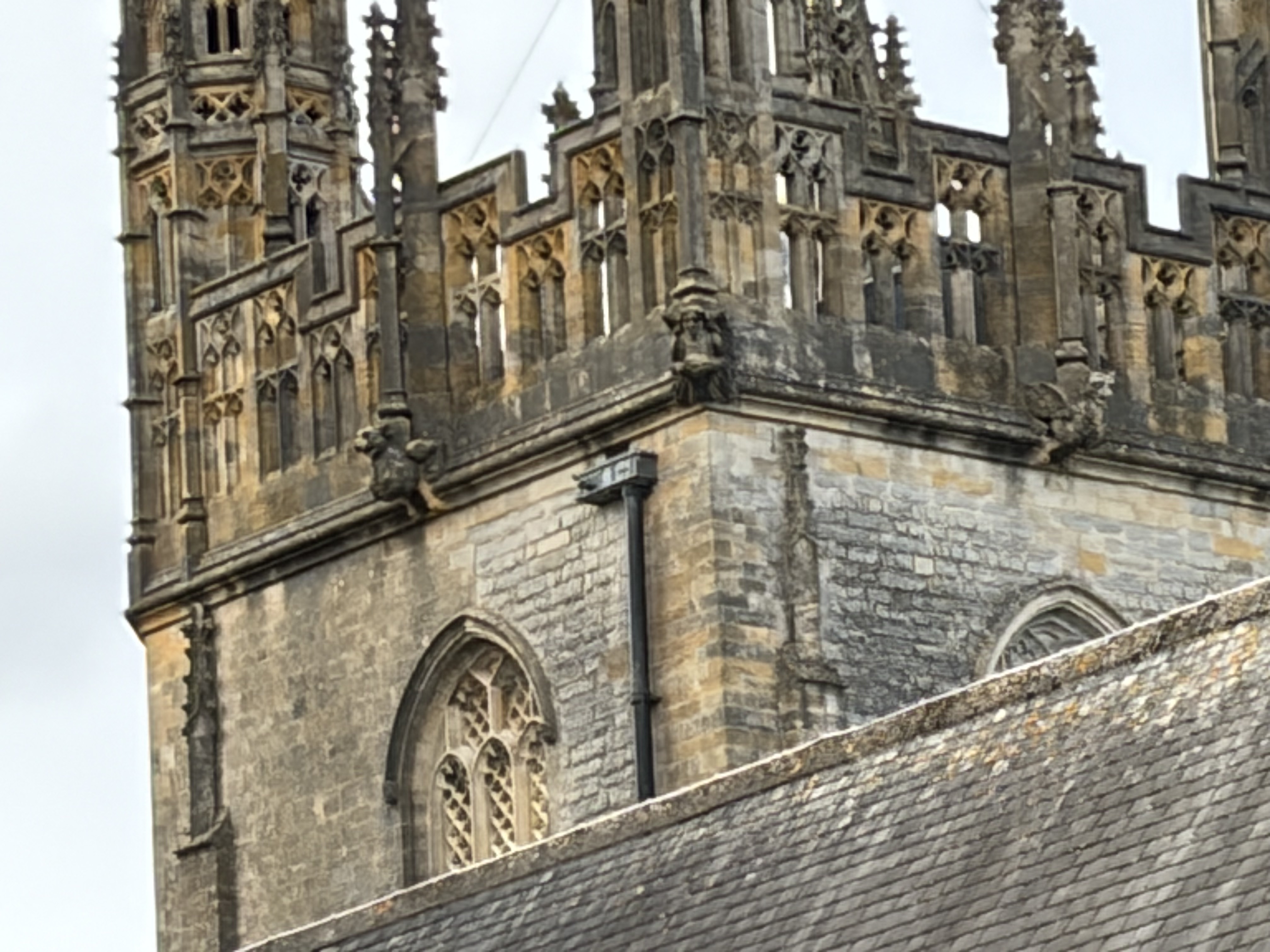 iPhone 17 10x zoom. Image credit: Amy Davies