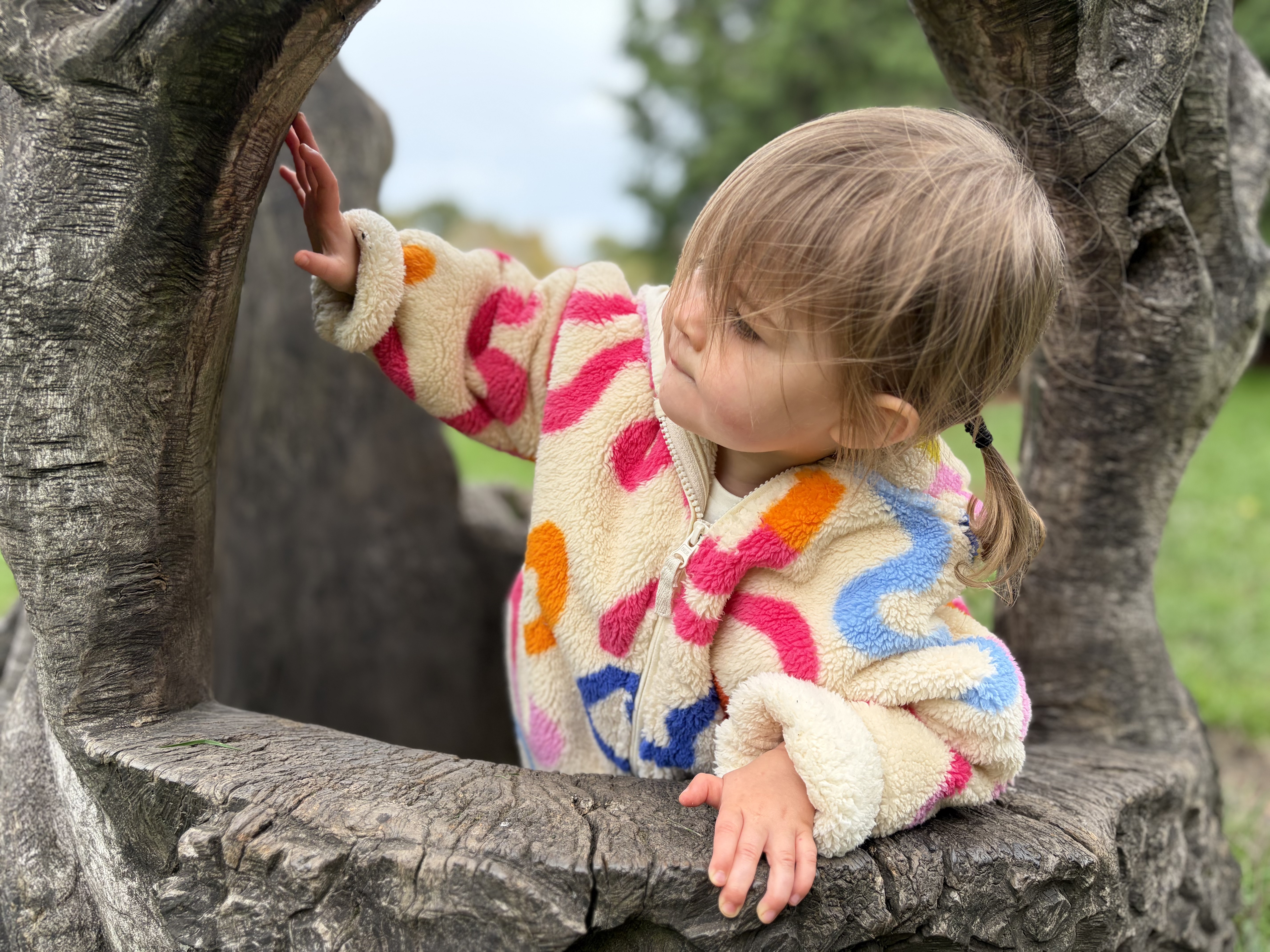 iPhone 17 Portrait mode.