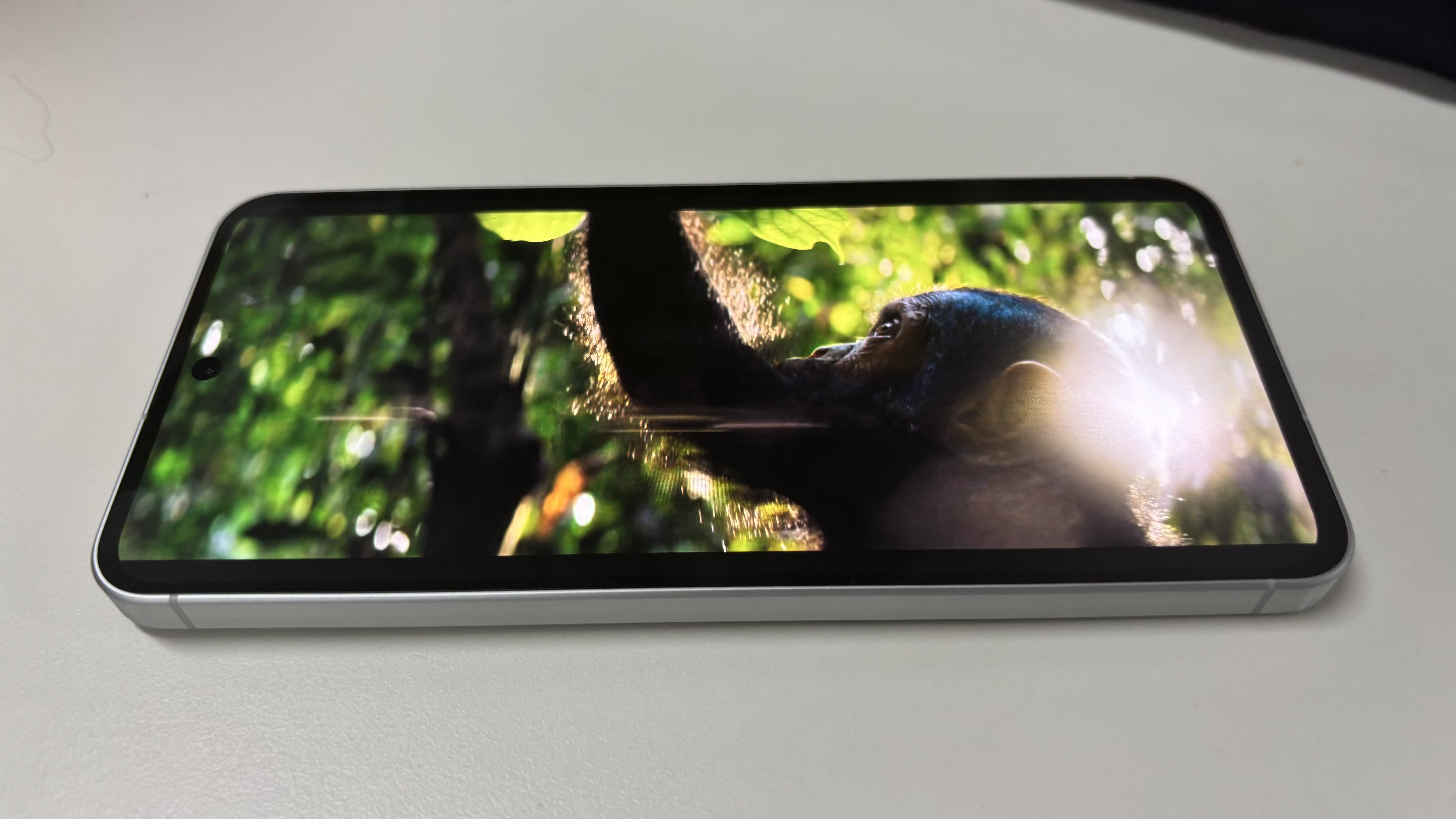 Watching a nature documentary on the Galaxy A56