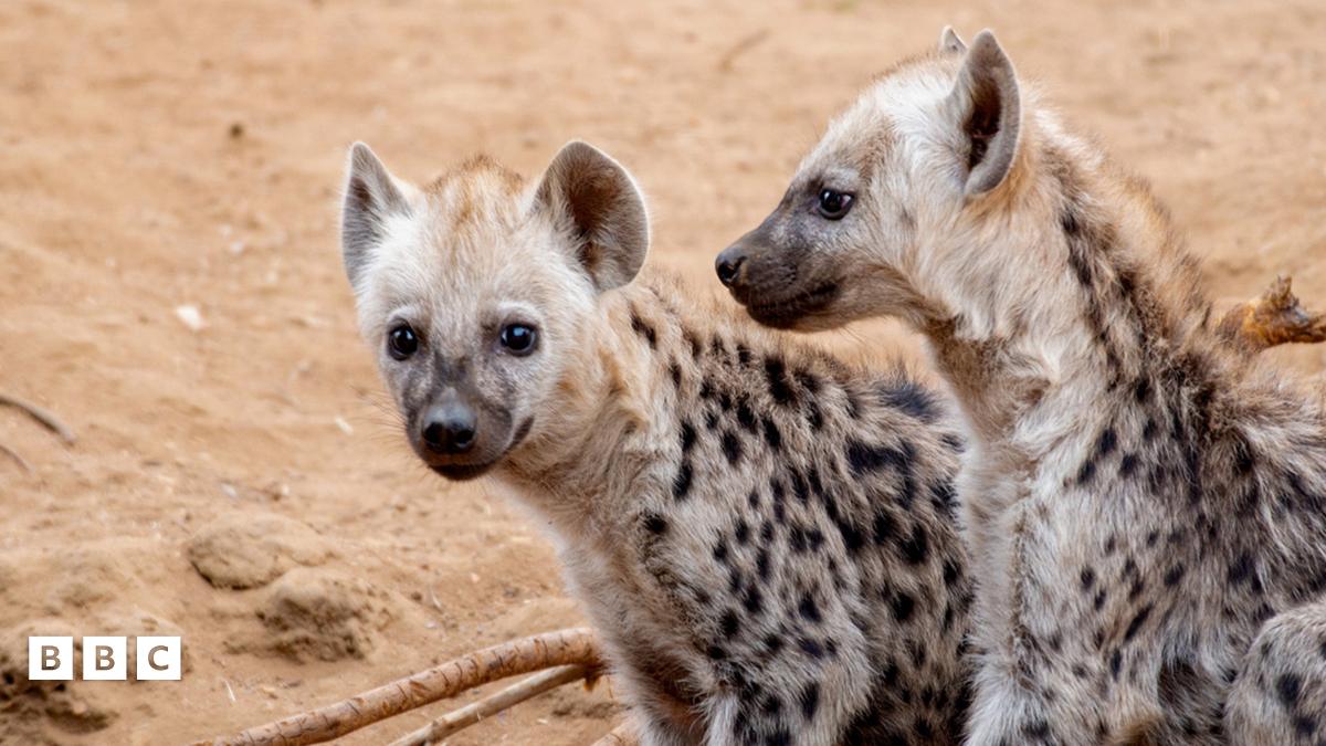 Creative Lab: Abysmal Artworks - Lots of Horrible Histories characters throughout history are posing together
