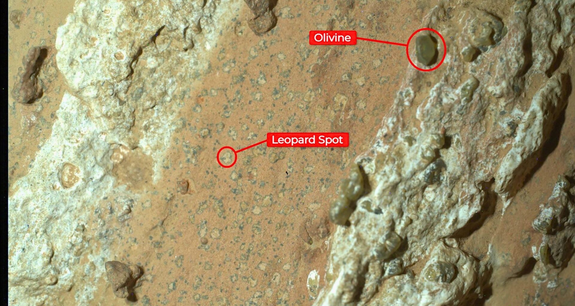 Nasa’s Perseverance Rover Discovered Leopard Spots On A Reddish Rock Nicknamed “cheyava Falls” In Mars’ Jezero Crater In July 2024