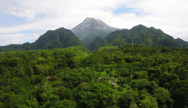 New Dna Evidence Suggests Extinct Apex Predator May Still Roam Java’s Forests