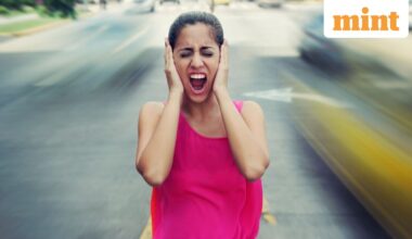 India thrives on noise, and also suffers for it.