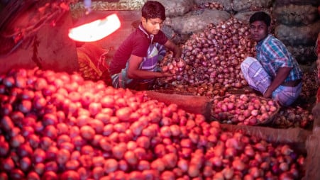 The supply chain for onions remains fragile, unable to balance production and demand effectively. Photo: TBS
