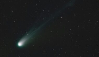 New Comet C/2025 V1 Borisov Is Speeding Past Earth - But Where’s Its Tail?