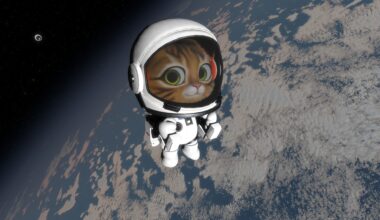 Screenshots from the pre-alpha build of Kitten Space Agency