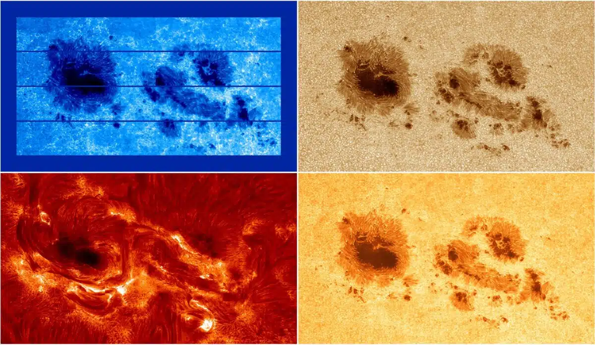 The mosaics of speckle-restored images have a combined FOV of 240″ × 150″ and shows active region NOAA 14274 at around 08:33 UT on 2025 November 10, about 30 minutes before an X1.2 flare began.