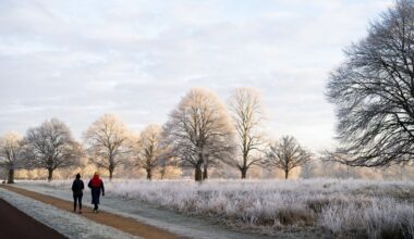 A frosty spell is forecast for some areas, like Richmond Park in London, pictured here in January. File pic: PA
