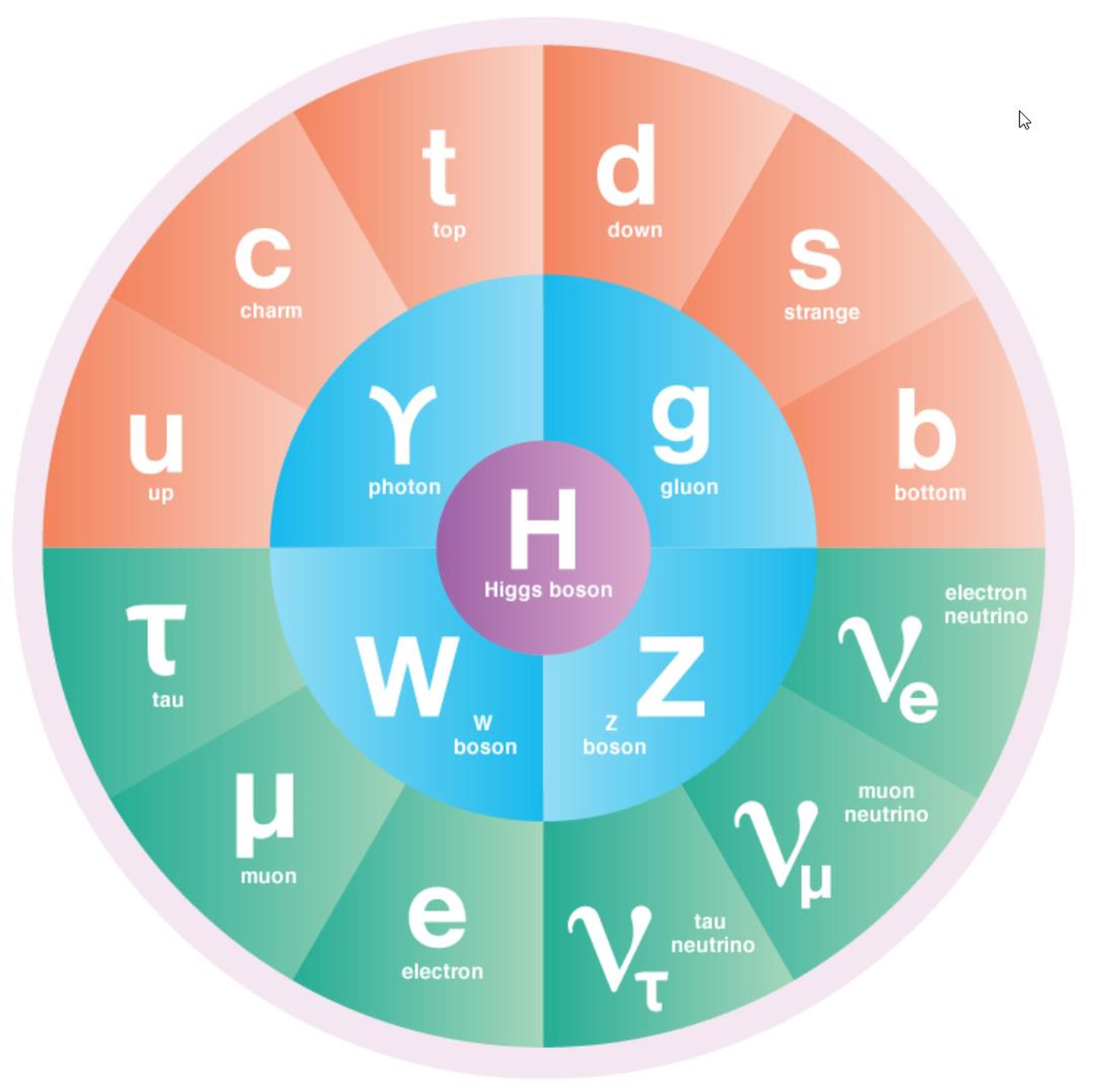 Standard Model particles symmetry