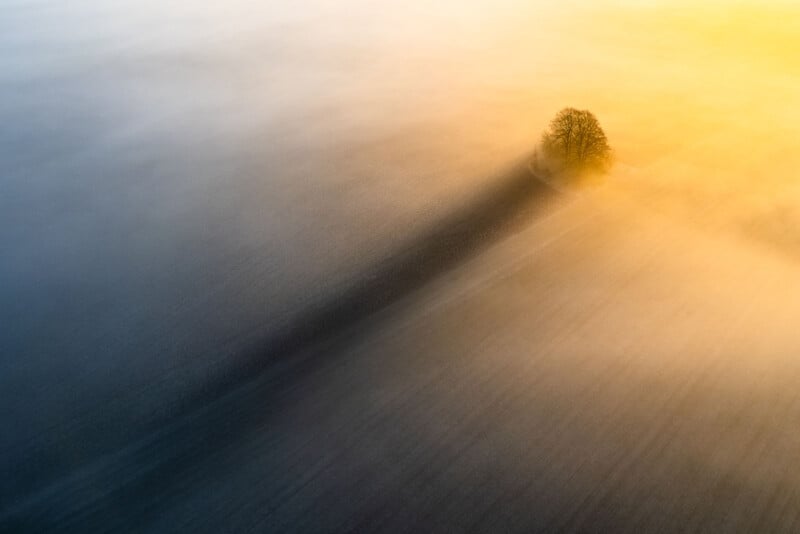 A solitary tree casts a long shadow across a misty field at sunrise, with golden sunlight illuminating the fog and creating a serene, atmospheric scene.