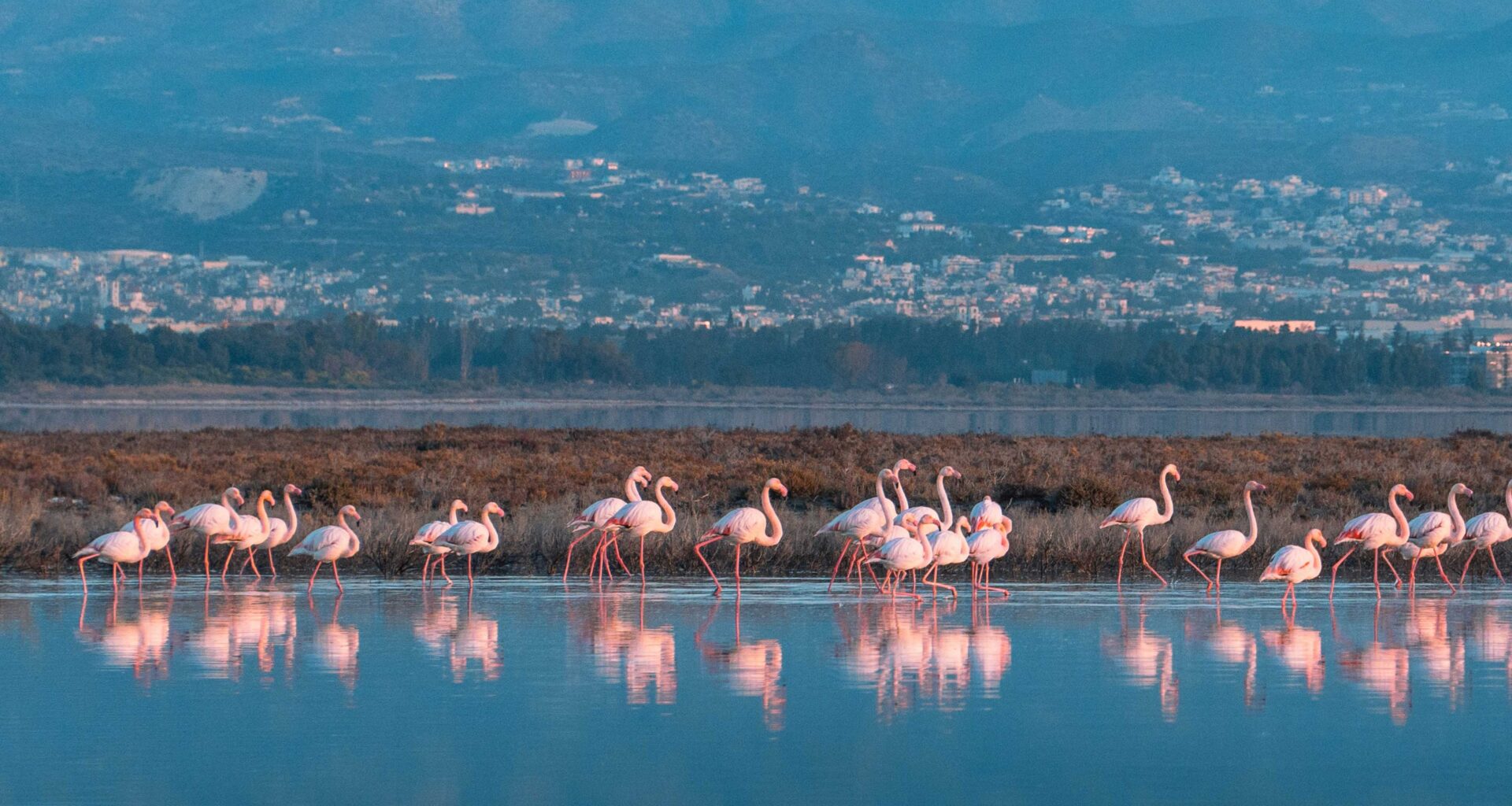 cover Tepak to work on new Cyprus tourism app