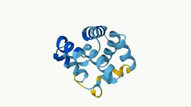 In addition to ML demos you'd expect, like Bert or ResNet, we were also able to get scentific models like the Boltz-2 biomolecular foundation model running on the QuietBox