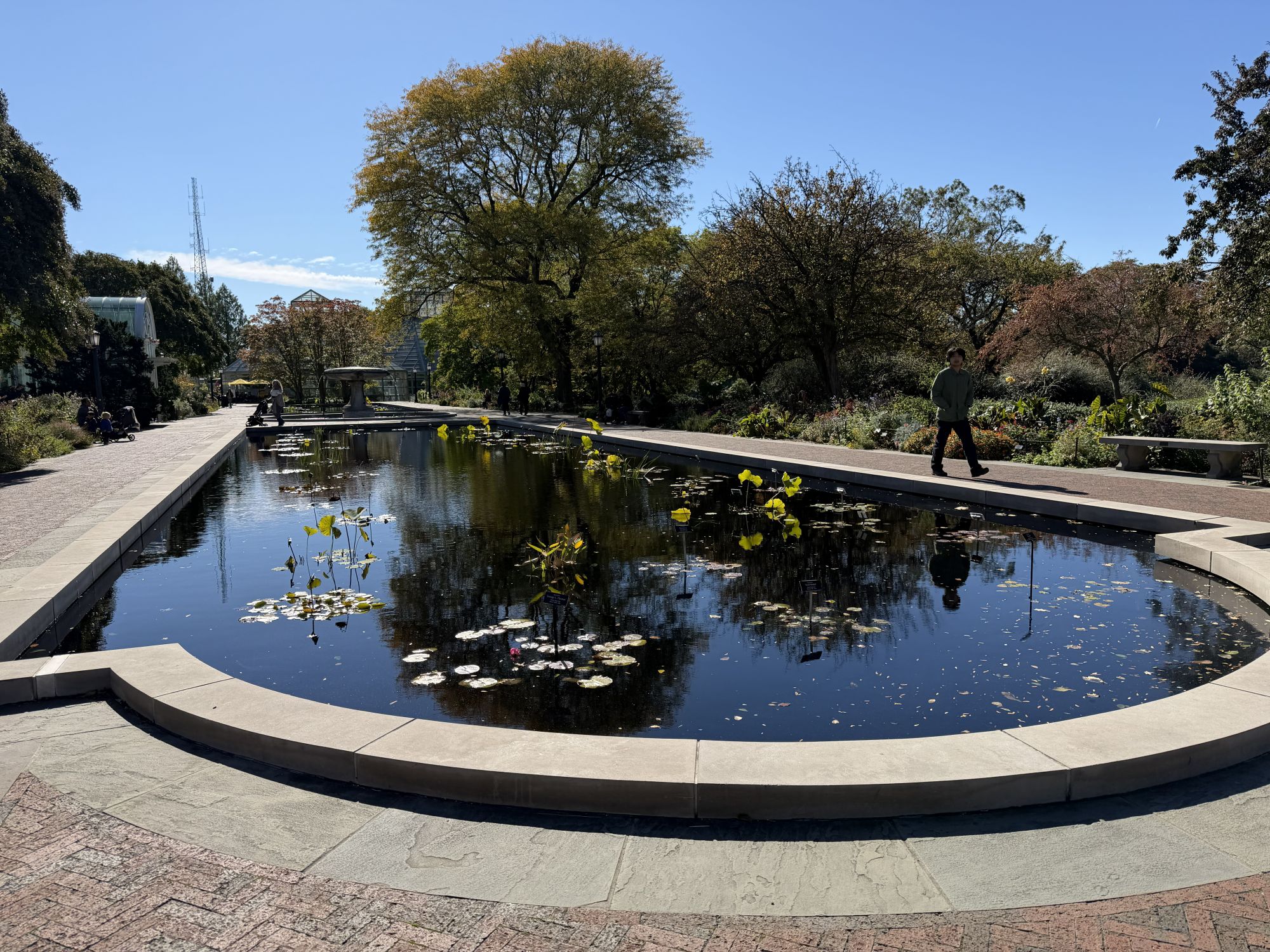 Apple iPhone 17 Pro Max dynamic range sample.